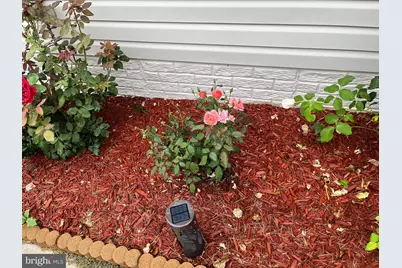 113 Hotchkiss Street, Fredericksburg, VA 22408 - Photo 3