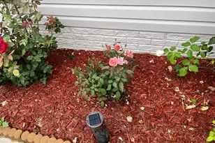 113 Hotchkiss St, Fredericksburg, VA 22408 - Photo 3