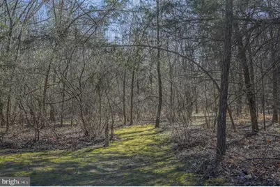 4338 Creighton Lane, Spotsylvania, VA 22551 - Photo 37