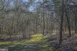 4338 Creighton Ln, Spotsylvania, VA 22551 - Photo 37