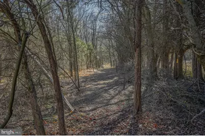 4338 Creighton Lane, Spotsylvania, VA 22551 - Photo 39