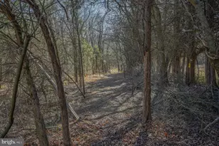 4338 Creighton Ln, Spotsylvania, VA 22551 - Photo 39