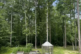 8800 Millwood Dr, Spotsylvania, VA 22551 - Photo 29