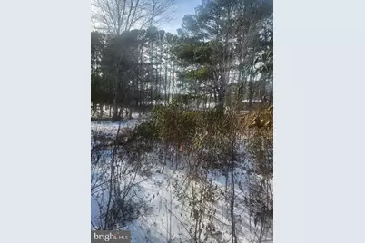 9546 Rapidan Drive, Fredericksburg, VA 22407 - Photo 7