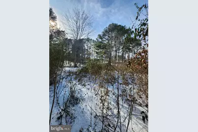 9546 Rapidan Drive, Fredericksburg, VA 22407 - Photo 5