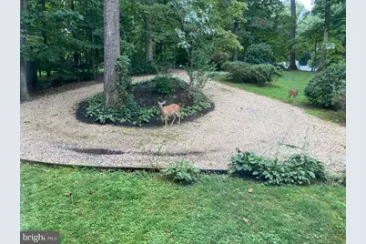 10221 Helena Terrace, Spotsylvania, VA 22553 - Photo 31