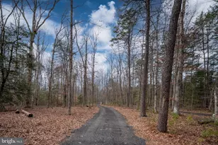 7931 Curtis Ln, Spotsylvania, VA 22551 - Photo 67