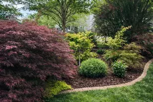 5905 Vista Ct, Fredericksburg, VA 22407 - Photo 5