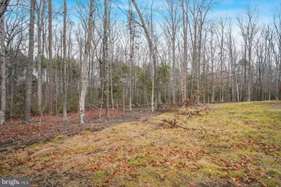 6113 Ridge Tree Road, Fredericksburg, VA 22407 - Photo 21