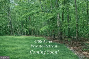 6113 Ridge Tree Rd, Fredericksburg, VA 22407 - Photo 3