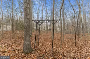 10111 Oat Lands Pl, Fredericksburg, VA 22408 - Photo 41