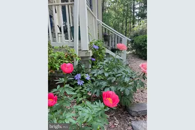 8507 Leslie Court, Fredericksburg, VA 22407 - Photo 37