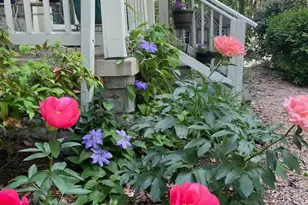 8507 Leslie Ct, Fredericksburg, VA 22407 - Photo 37