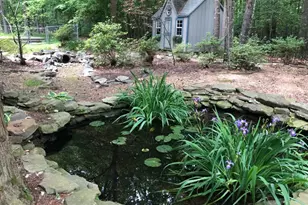 8507 Leslie Ct, Fredericksburg, VA 22407 - Photo 41