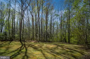 6628 Partlow Rd, Spotsylvania, VA 22551 - Photo 57