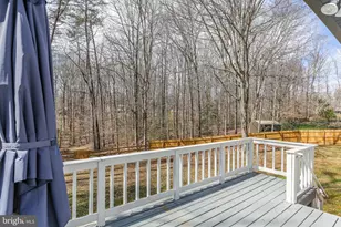 306 Clydesdale Ct, Spotsylvania, VA 22551 - Photo 39