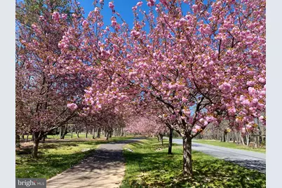 11608 Longstreet Drive, Spotsylvania, VA 22551 - Photo 39