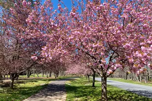 11608 Longstreet Dr, Spotsylvania, VA 22551 - Photo 41