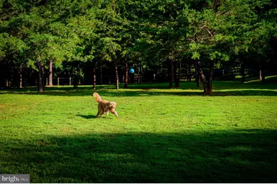 11208 Knolls End, Spotsylvania, VA 22551 - Photo 71