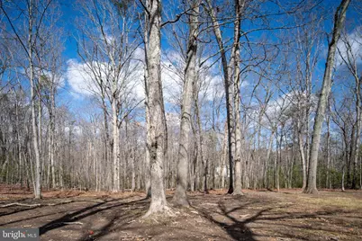 6531 Lanes Corner Road, Spotsylvania, VA 22551 - Photo 69