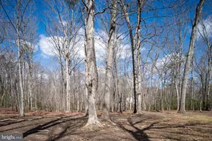 6531 Lanes Corner Rd, Spotsylvania, VA 22551 - Photo 69