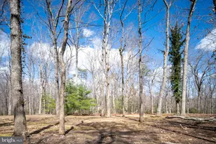 6531 Lanes Corner Rd, Spotsylvania, VA 22551 - Photo 59