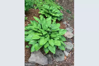 10511 Watford Lane, Fredericksburg, VA 22408 - Photo 49