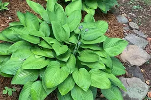 10511 Watford Ln, Fredericksburg, VA 22408 - Photo 49