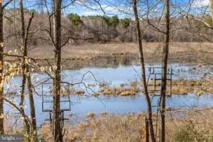 7610 Downstream Ct, Fredericksburg, VA 22408 - Photo 61