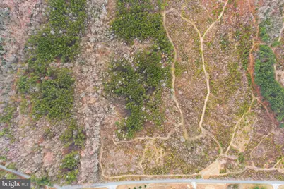 5190 Dickerson Road, Partlow, VA 22534 - Photo 3