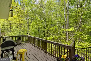 13004 Crested Ct, Fredericksburg, VA 22408 - Photo 49