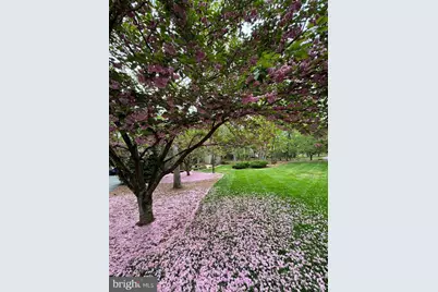 11612 Longstreet Drive, Spotsylvania, VA 22551 - Photo 35