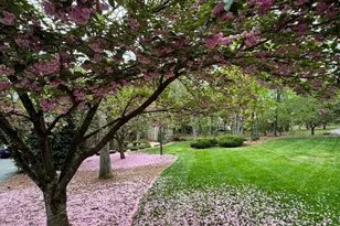 11612 Longstreet Dr, Spotsylvania, VA 22551 - Photo 35