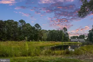 11004 Sheridan Dr, Spotsylvania, VA 22551 - Photo 95