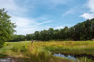 11004 Sheridan Dr, Spotsylvania, VA 22551 - Photo 101