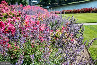 11004 Sheridan Drive, Spotsylvania, VA 22551 - Photo 123