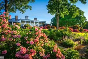 11215 Preswick Ln, Spotsylvania, VA 22551 - Photo 69