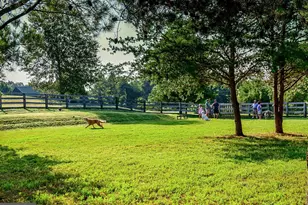 11215 Preswick Ln, Spotsylvania, VA 22551 - Photo 75