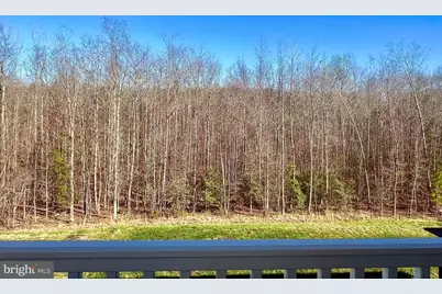 9227 Split Oak Drive, Fredericksburg, VA 22407 - Photo 39