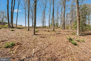 47 Noel Dr, Fredericksburg, VA 22408 - Photo 35