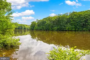 10910 Cinnamon Teal Dr, Spotsylvania, VA 22553 - Photo 43