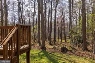 10910 Cinnamon Teal Dr, Spotsylvania, VA 22553 - Photo 41