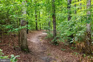 10910 Cinnamon Teal Dr, Spotsylvania, VA 22553 - Photo 45