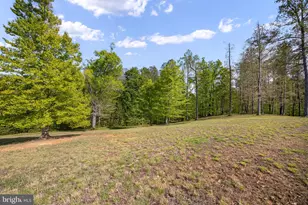 6657 Lawyers Rd, Spotsylvania, VA 22551 - Photo 59
