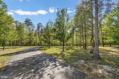 6657 Lawyers Road, Spotsylvania, VA 22551 - Photo 63