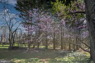 10752 Bridlerein Ct, Spotsylvania, VA 22553 - Photo 55