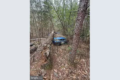 5300 Hams Ford Road, Woodford, VA 22580 - Photo 7