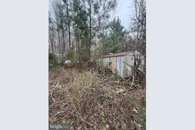 5300 Hams Ford Road, Woodford, VA 22580 - Photo 3