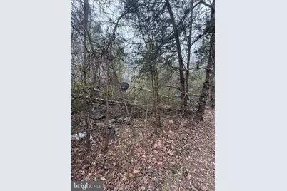 5300 Hams Ford Road, Woodford, VA 22580 - Photo 5