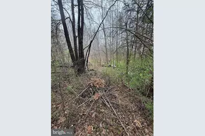 5300 Hams Ford Road, Woodford, VA 22580 - Photo 9